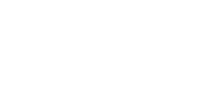 Directive Communication Consulting logo